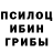 Псилоцибиновые грибы Cubensis pavlina .m