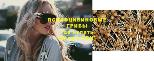 а пвп мука Болотное