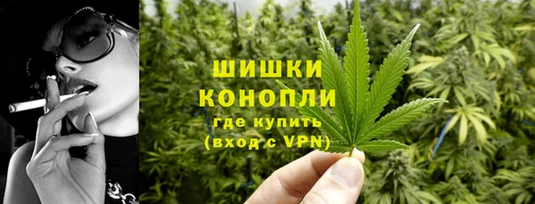 шишки Новодвинск