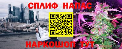 стафф Заволжье