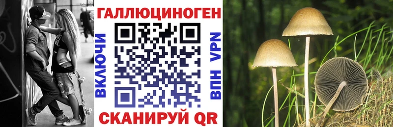 Галлюциногенные грибы GOLDEN TEACHER  Котельники 