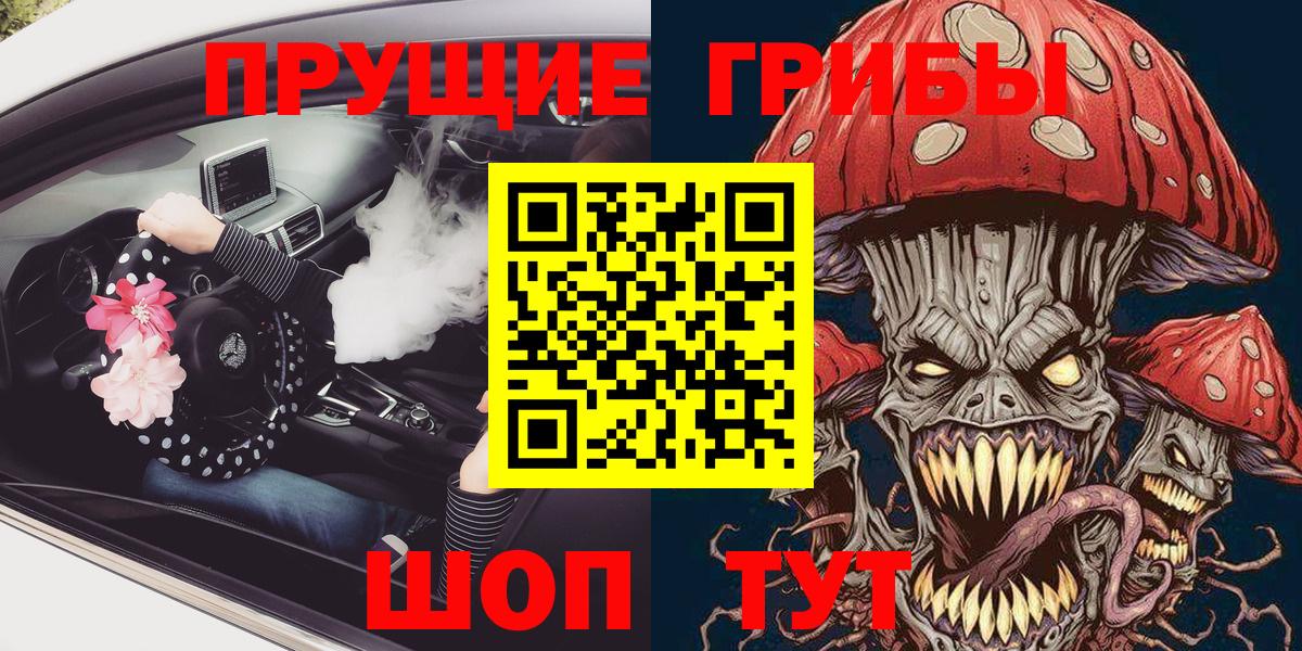 Котельники  Псилоцибиновые грибы Psilocybe  Вход с VPN  Псилоцибиновые грибы Psilocybe 