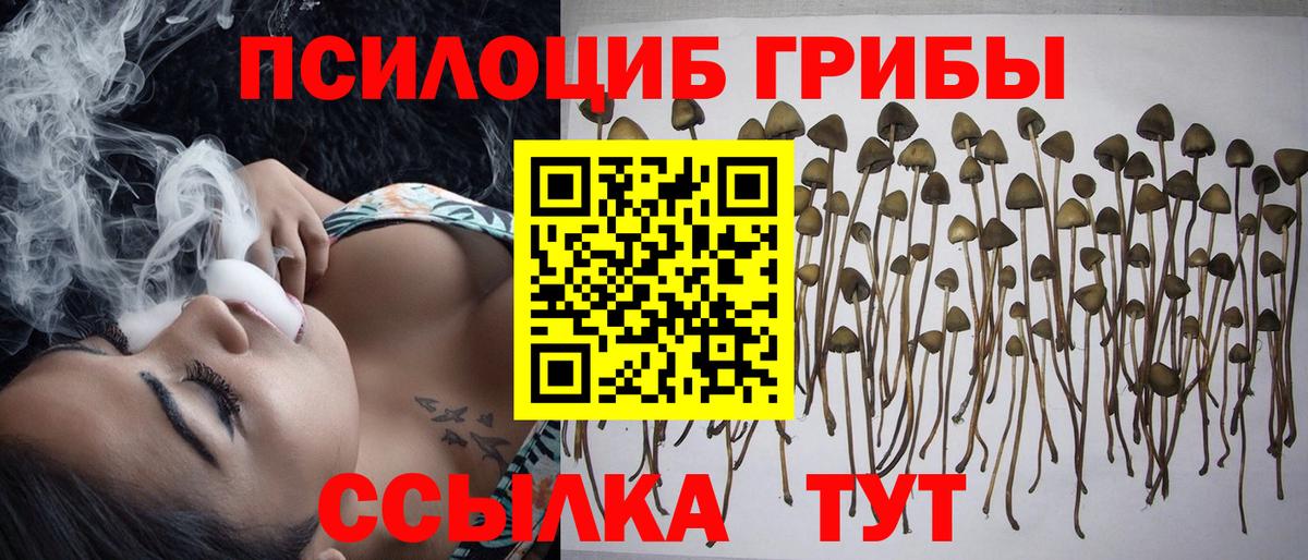 Псилоцибиновые грибы Psilocybe  Галлюциногенные грибы Cubensis  Котельники 