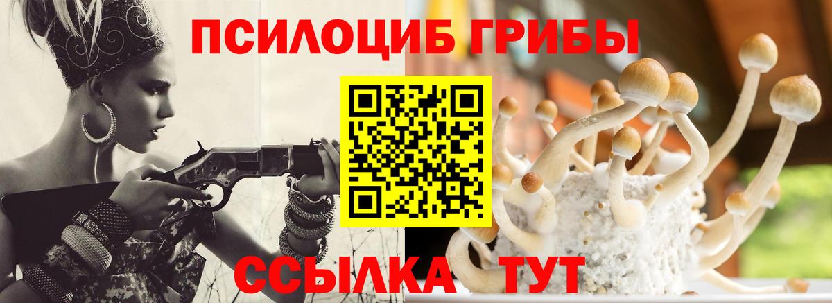 Галлюциногенные грибы Cubensis Котельники